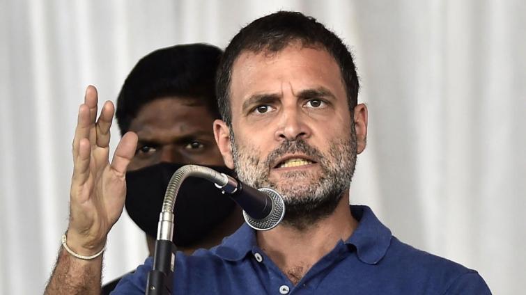 Rahul Gandhi's BIG claim on COVID deaths: 40 lakh died due