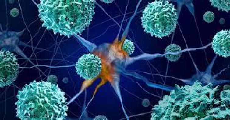 Polio Virus New Variant: After 10 years, Polio virus detected in THIS city