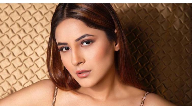 Shehnaaz Gill oozes hotness in Ghani Syaani