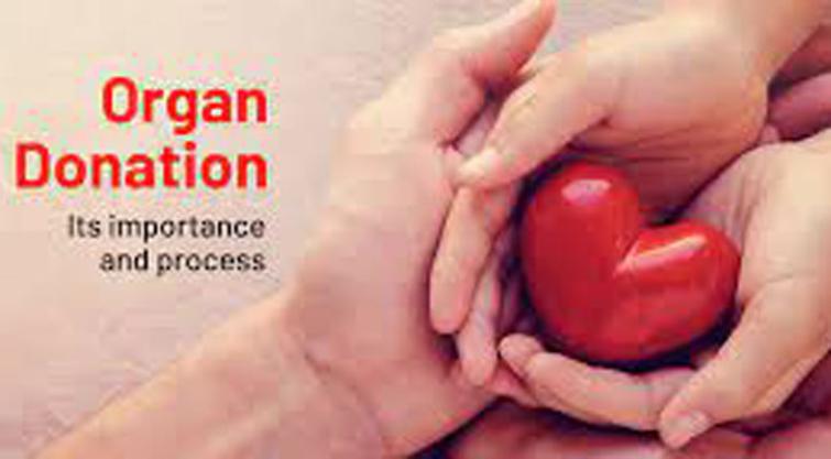 World Organ Donation Day - Too Old Or Sick To Donate Organs?