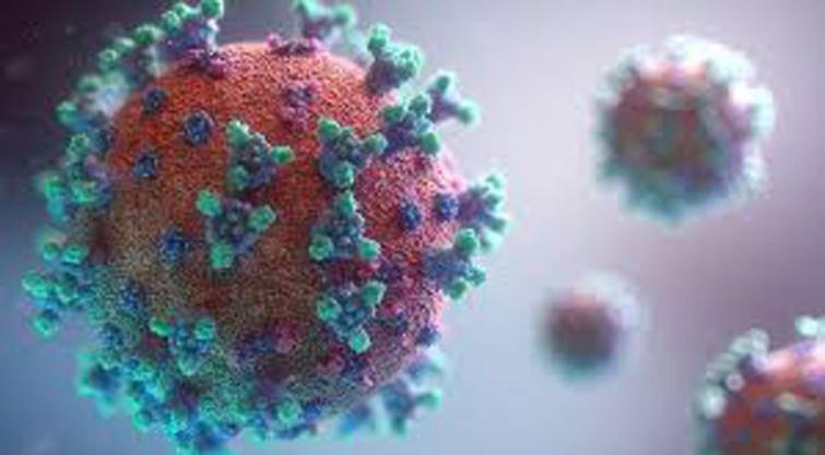 Covid Virus Persists In Skull And Brain Meninges For Years Post-Infection