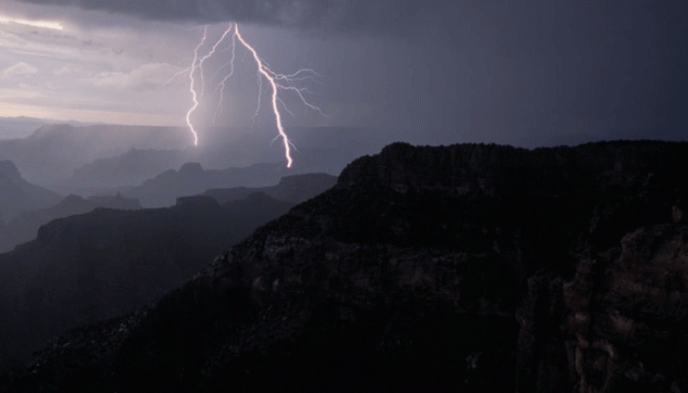 Dense fog engulfs parts of North India, flight ops affected in Delhi-NCR