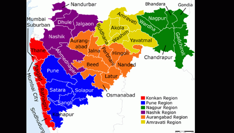 Maharashtra local body poll results: BJP-led Mahayuti surges with leads on 161 municipal councils